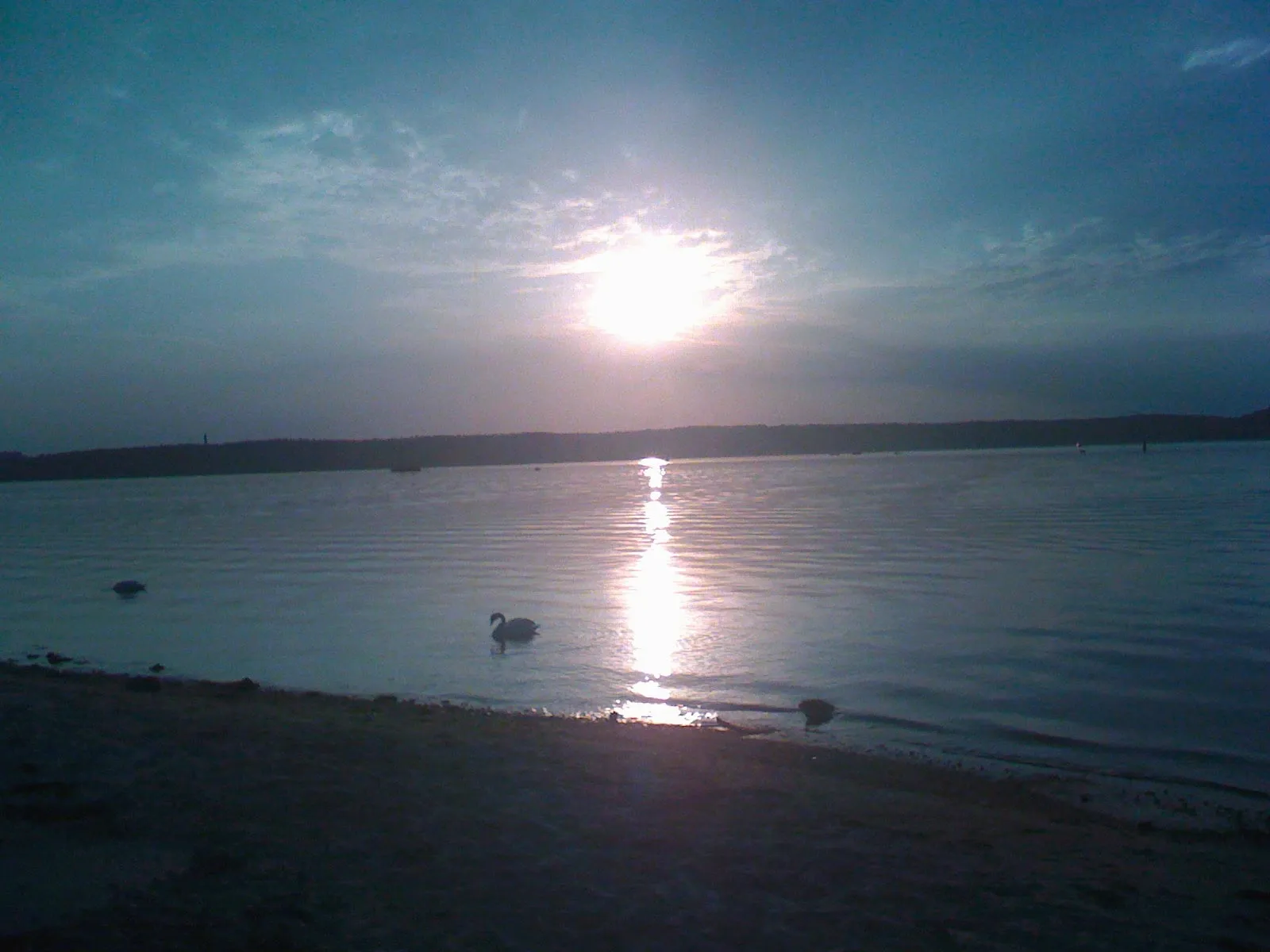 Abendsonne spiegelt sich in der Flensburger Förde