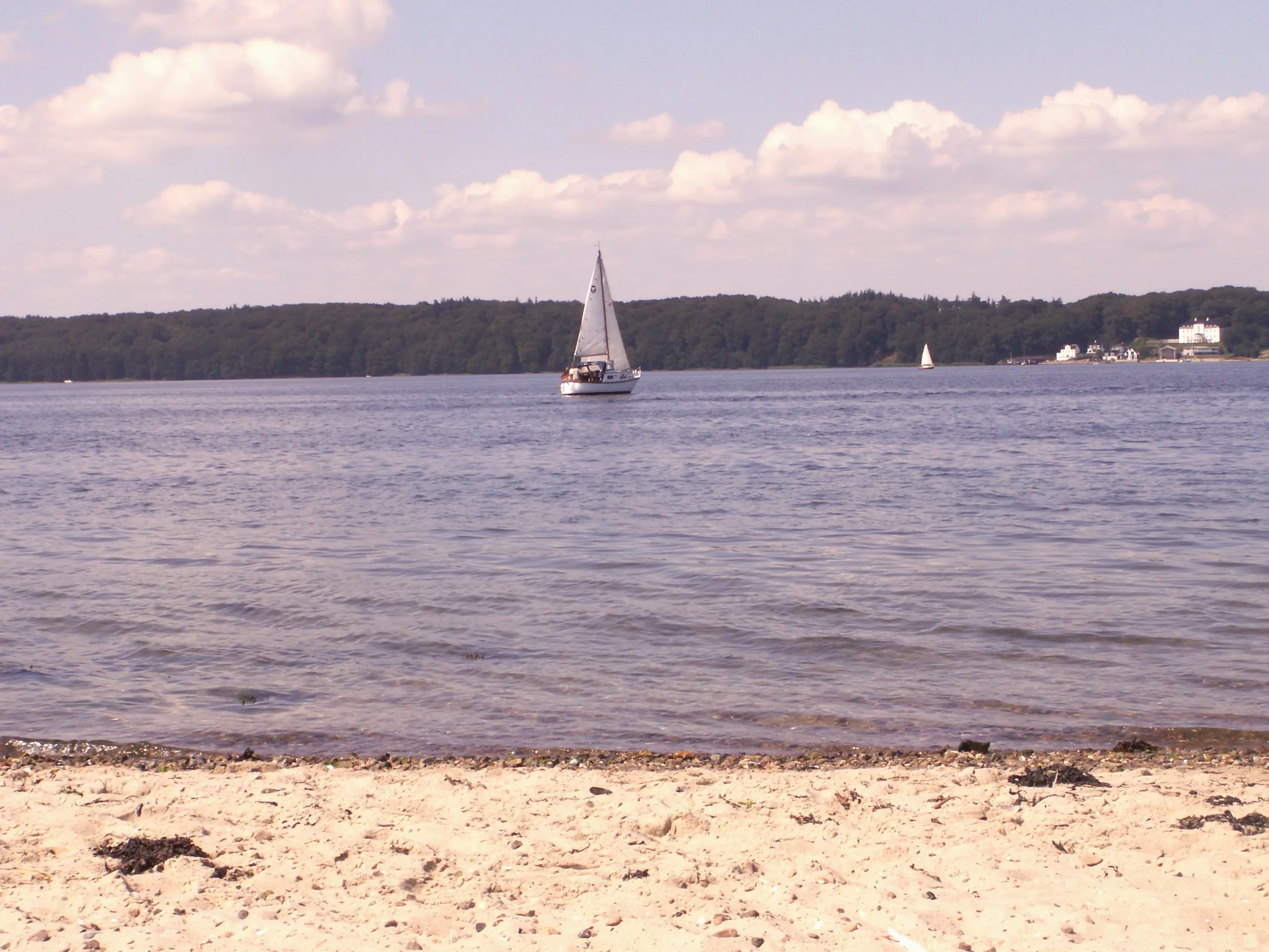 Segelboot auf der Flensburger Förde unter Sommerwolken, vorn der Sandstrand von Fahrensodde