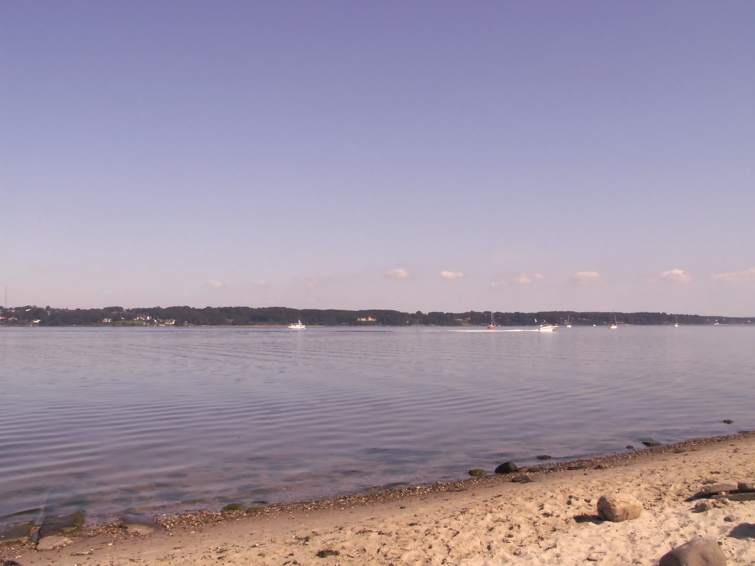 Spiegelglatte Förde am Strand mit Steinen