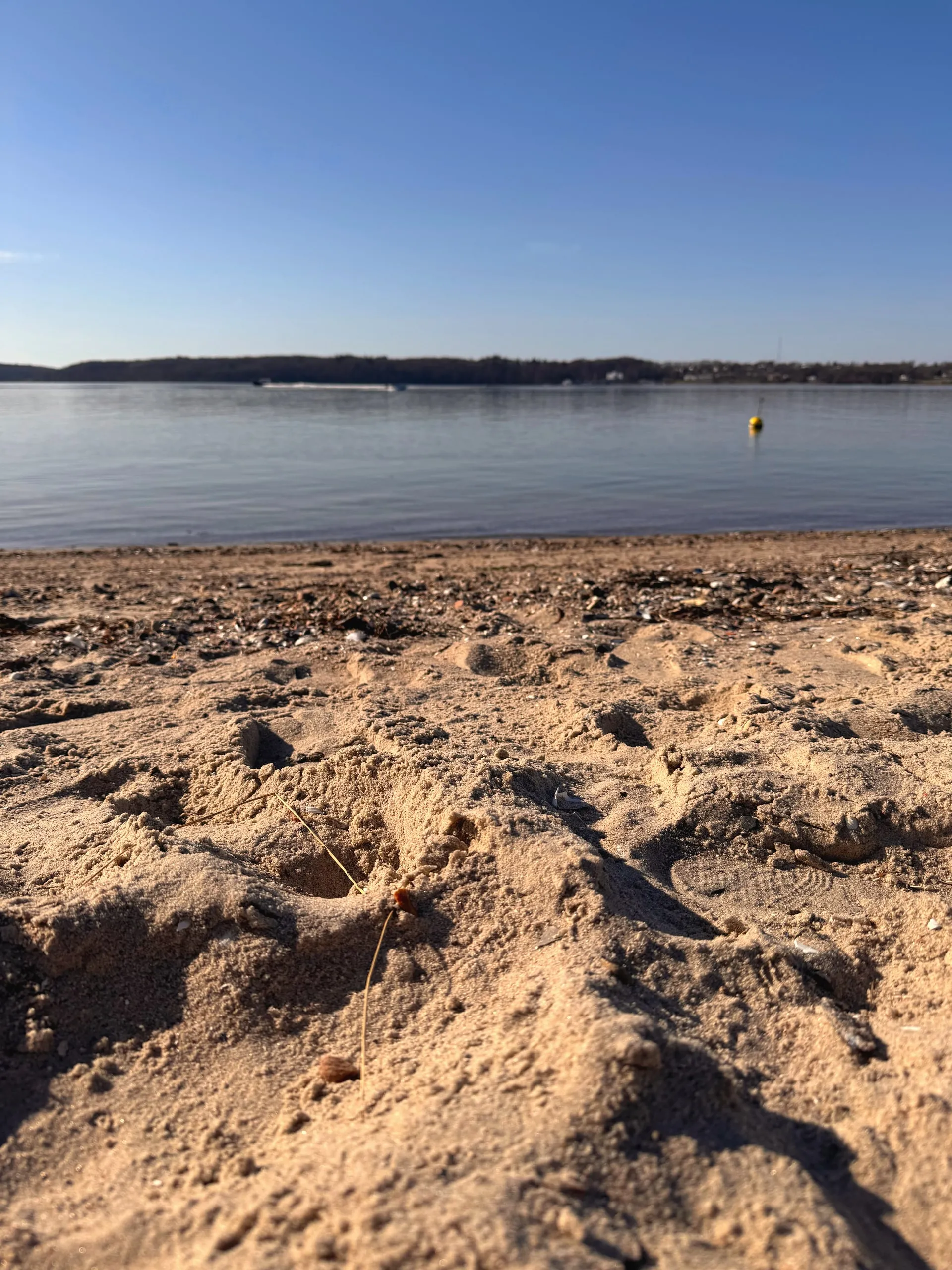 Leerer Sandstrand von Fahrensodde im Frühling