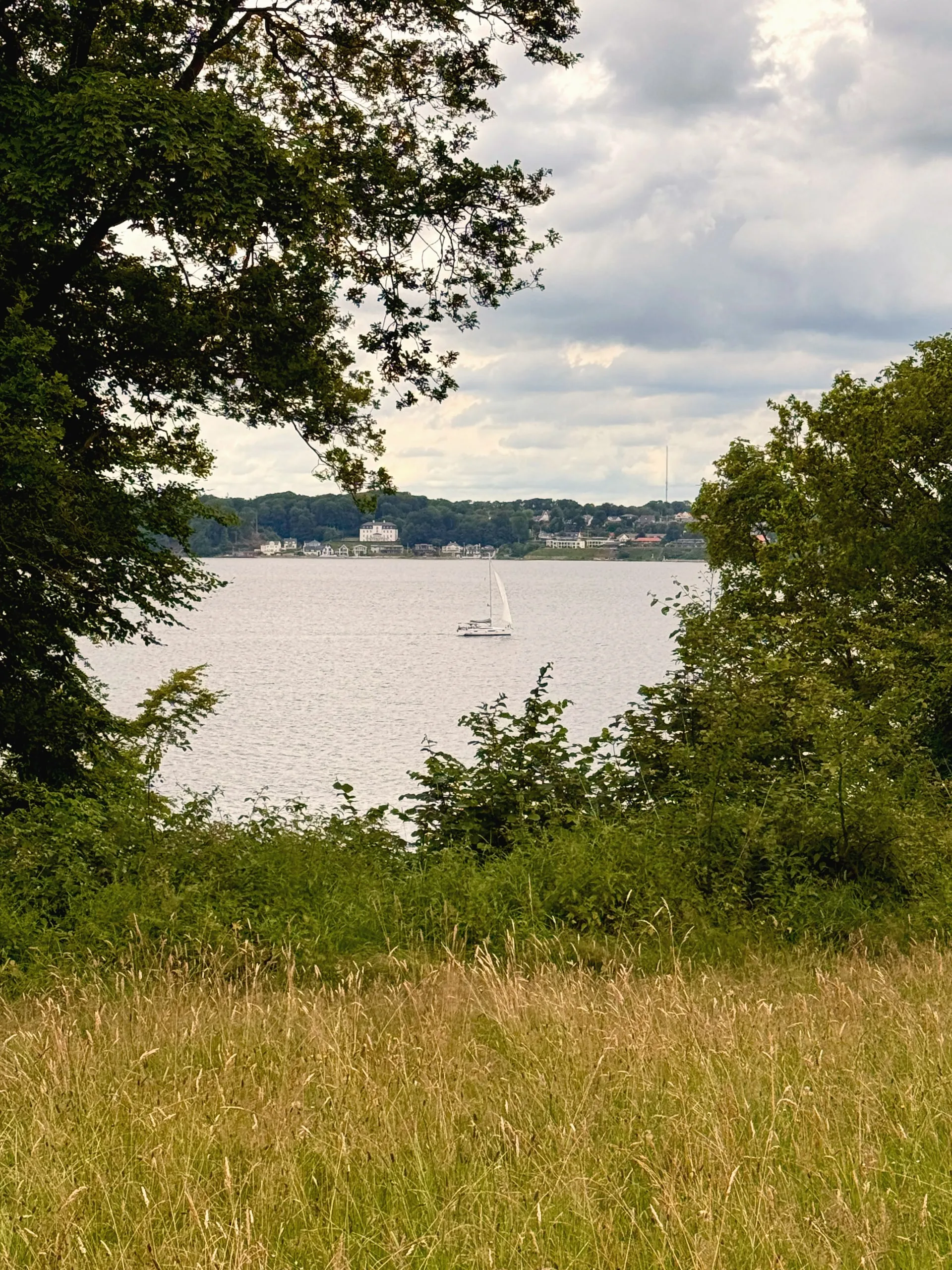 Blick durch Bäume auf die Förde und das gegenüberliegende Ufer