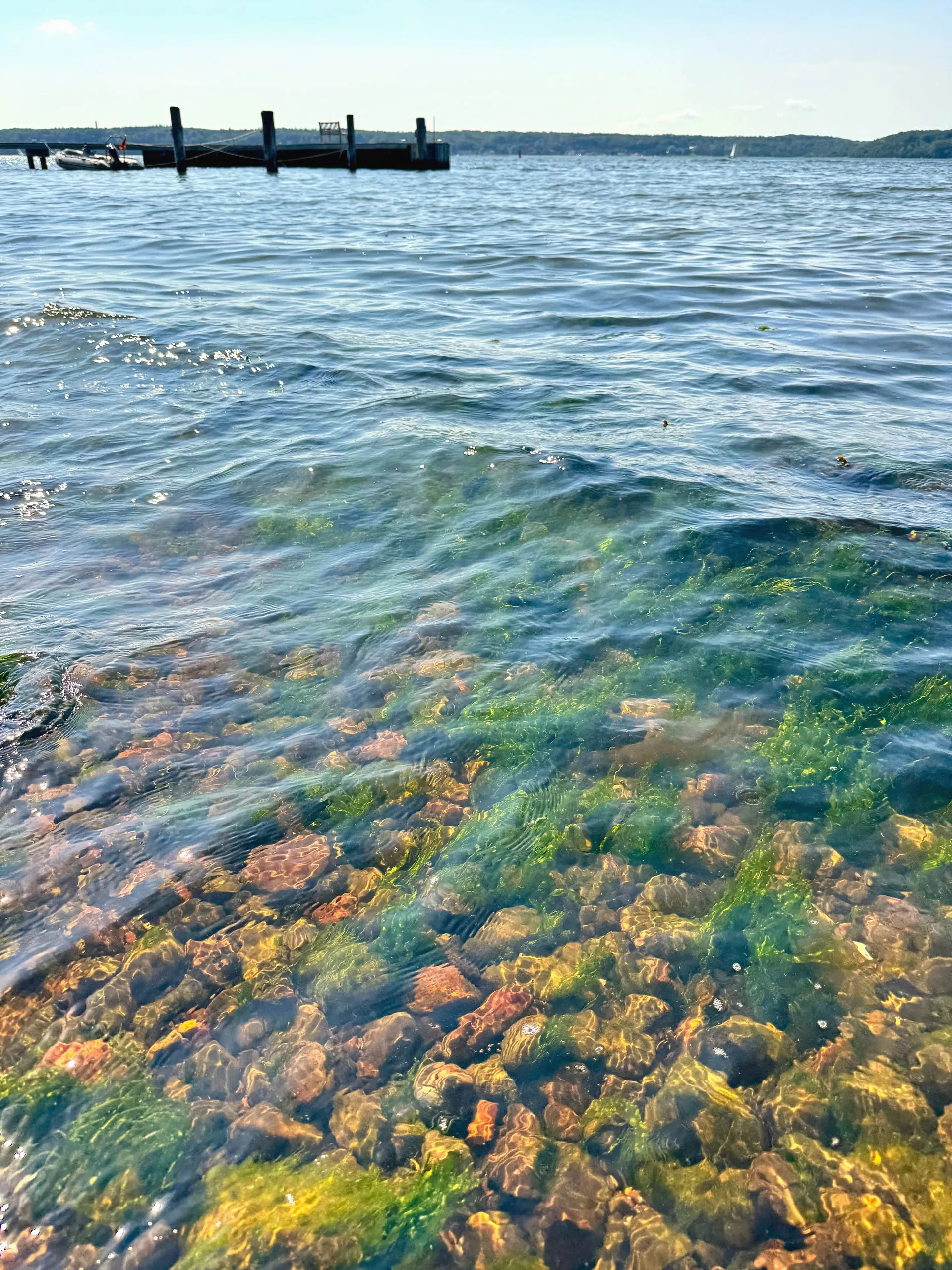 Klares Wasser über bunten Steinen am Ufer