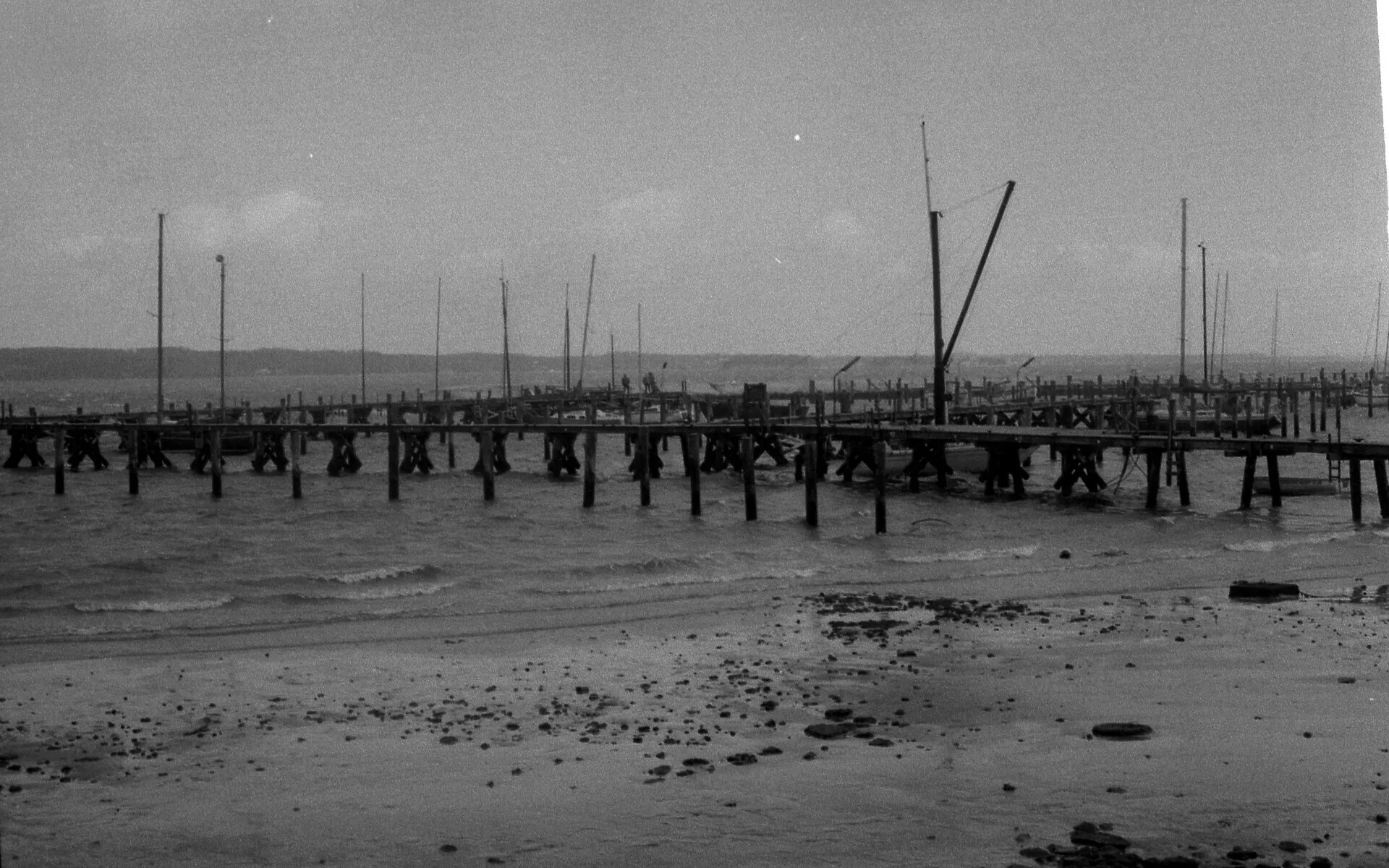 Schwarz-Weiß-Foto: lange Holzstege des Yachthafens Fahrensodde bei niedrigem Wasserstand, 1980